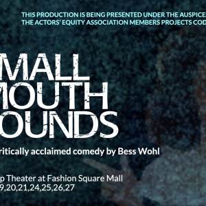 SMALL MOUTH SOUNDS Will Make its Central Florida Premiere Photo