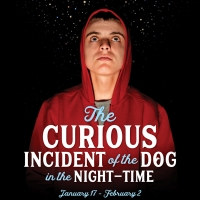 Raleigh Little Theatre Presents THE CURIOUS INCIDENT OF THE DOG IN THE NIGHT-TIME Photo