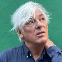 Robyn Hitchcock to Release First New Album in Over Five Years Photo