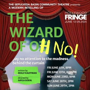 THE WIZARD OF OH NO! is Coming to Hollywood Fringe Photo