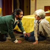 Review: ANDY WARHOL IN IRAN at Barrington Stage Company Video