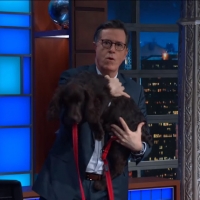 VIDEO: Meet Stephen Colbert's New Puppy on THE LATE SHOW