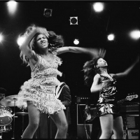 Queen of Rock Tina Turner Takes Center Stage in Morrison Hotel Gallery's 'One Woman S Photo