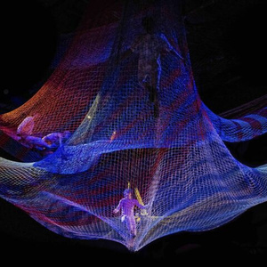 ArtsEmerson To Present NOLI TIMERE At Emerson Cutler Majestic Theatre Photo