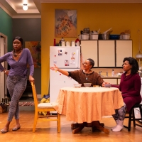 Review: HER PORTMANTEAU at George Street Playhouse-A Powerful and Important Play Exce Photo