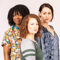 MARY JANE Will Run at Meadow Brook Theatre in March Video