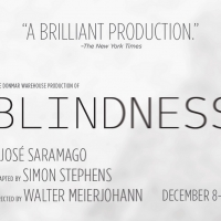 Shakespeare Theatre Company Welcomes Back Patrons To Sidney Harman Hall With BLINDNESS