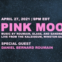 Eleonor Sandresky's Lunar Landscapes Presents PINK MOON Photo