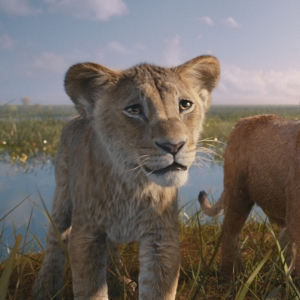 MUFASA: THE LION KING Sets Disney+ Streaming Debut Photo