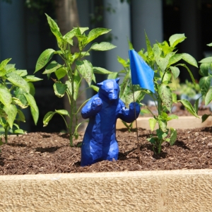 Denver Arts & Venues Calls For Community to Connect With Others Through Denver Art Dr