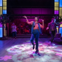 BWW Review: Big Love for AS YOU LIKE IT at the Milwaukee Repertory Theatre Photo