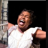 Women's History Solo Show Series to be Co-Presented By The Theatre At The 14th…