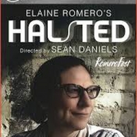 BWW Review: Elaine Romero's HALSTED Is A Bold Stroke Of Illumination ~ Launching…