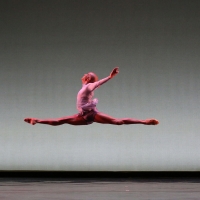 Dallas Black Dance Theatre Will Return to NYC With Two Premieres by NYC Choreogaphers Photo