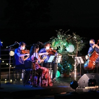 Tesla Quartet Returns to The Morris Museum with A Program That Includes Schubert and  Video
