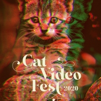 CatVideoFest Launches Virtual Edition to Benefit the Strand Theater Photo