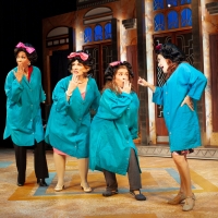 Review Roundup: What Did Critics Think of MENOPAUSE THE MUSICAL at Ogunquit Playhouse Photo