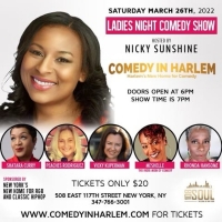 Rhonda Hansome Will Appear at 'Ladies Night Comedy Show' at Comedy In Harlem Photo