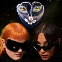 Icona Pop Return With New Single 'I Want You' With Galantis & Confirm New Album Is…