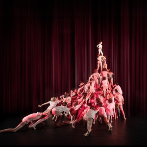 GRAVITY AND OTHER MYTHS to Join Flying Fruit Fly Circus in Albury-Wodonga Residency Photo