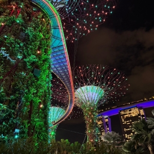 Student Blog: My Trip to Singapore: A Journey with a Theme Photo