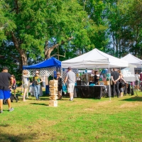 Elm Street's Annual Art on the Green Goes In-Person and Digital