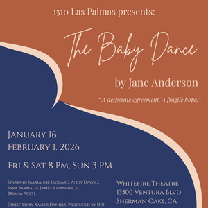 THE BABY DANCE By Jane Anderson Comes to the Whitefire Theatre Photo