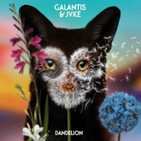 Galantis & JVKE Team Up on 'Dandelion' Photo