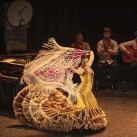 Flamenco Arts Festival Returns With FLAMENCO ON FILM, A Virtual Experience Photo