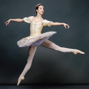 American Repertory Ballet Presents CLASSIC BEAUTY: An All-Tchaikovsky Program At The  Photo