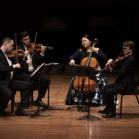 The Chamber Music Society of Lincoln Center Announces Fall 2020 Digital Season Photo