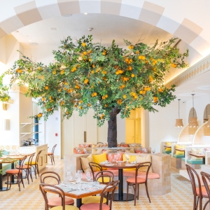 Review:  MAMA MEZZE Brings the Finest Eastern Mediterranean Cuisine to NoMad Photo