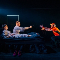 BWW Review: THE METAMORPHOSIS, Tron Theatre, Glasgow Video