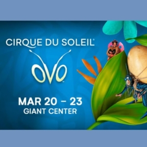 Review: CIRQUE DU SOLEIL-OVO at Giant Center Photo