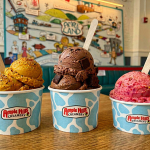 July is National Ice Cream Month-Celebrate with NYC's AMPLE HILLS CREAMERY Photo