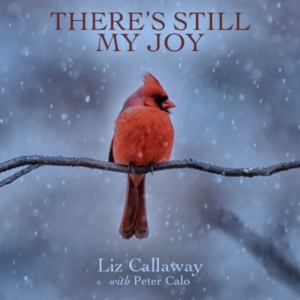 Liz Callaway Releases New Holiday Single- Theres Still My Joy Photo