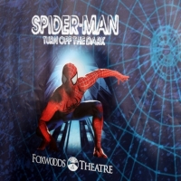 UN DÍA COMO HOY: SPIDER-MAN: TURN OFF THE DARK se estrenaba en Broadway Photo