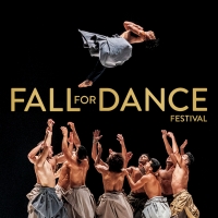 BWW Review: Dance Fail at Fall For Dance