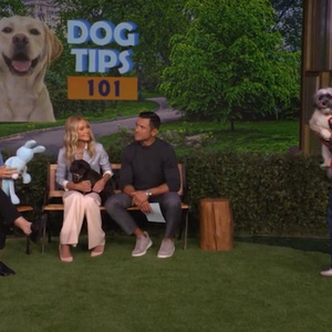 Dog Expert Jaime Goodrich Answers Staff Pet Questions on LIVE WITH KELLY AND MARK