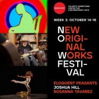 REDCAT to Present the 18th Annual New Original Works Festival Video