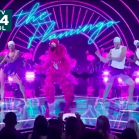 VIDEO: FOX Debuts New Promo for Season 2 of THE MASKED SINGER Video