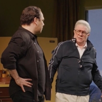 Video: See Highlights From PICTURES FROM HOME On Broadway, Starring Nathan Lane, Dann Photo