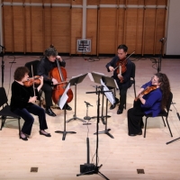 Quartet 131 to Perform in Arion Chamber Music Series in February in NYC Photo