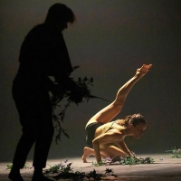 Danse Danse Receives $700,000 Grant to Explore New Possibilities in Dance Through Dig