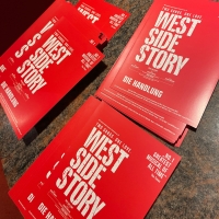 Review: WEST SIDE STORY at Metropol Theater Bremen Photo
