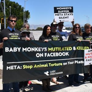 CRUELTY FOR CLICKS Documentary to Premiere at Indiewood Film Festival Photo