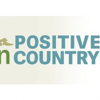 CDX Nashville Launches Positive Country Chart And Distribution Photo