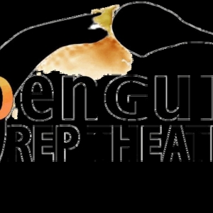 Penguin Rep Announces 2025 Season Lineup