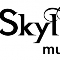 Skylight Music Theatre Postpones Live Chat With Michael 'Ding' Lorenz Photo