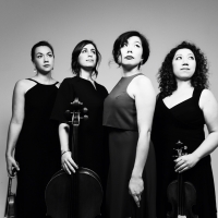 DACAMERA Presents MUSIC AND ISOLATION: Aizuri Quartet At The Menil 